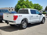 Used 2023 Ford F150 XLT w/ Equipment Group 302A High image 3