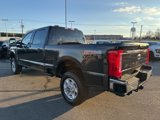 New 2025 Ford F250 XL image 6