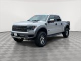 Used 2014 Ford F150 Raptor w/ Equipment Group 801A Luxury image 3
