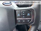 New 2025 Ford F150 Tremor w/ Bed Utility Package image 5