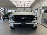 New 2025 Ford F150 Platinum image 2