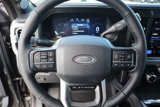New 2025 Ford F250 Platinum image 3