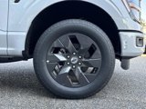 New 2025 Ford F150 STX w/ Equipment Group 200A image 3