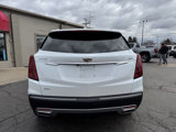 Used 2024 Cadillac XT5 Premium Luxury image 4