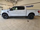 New 2025 Ford F150 XLT w/ Equipment Group 302A MID image 2