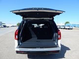 New 2025 Ford Expedition Tremor image 4