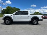 Used 2019 Ford F150 Raptor w/ Equipment Group 802A Luxury image 6
