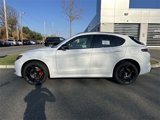 New 2025 Alfa Romeo Stelvio Tributo Italiano w/ Active Assist Plus Package image 5