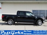 New 2025 Ford F150 XLT w/ Equipment Group 302A MID image 2