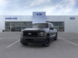 New 2025 Ford F150 XLT w/ Equipment Group 302A MID image 2