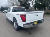 New 2025 Ford F150 XLT image 3