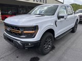 New 2025 Ford F150 Tremor image 2
