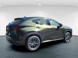 New 2026 Lexus NX 350 AWD image 4