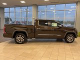 New 2025 Toyota Tundra 1794 Edition image 5