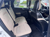 Used 2020 Ford Escape Titanium image 6