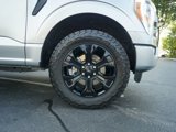 Used 2022 Ford F150 XL w/ STX Black Appearance Package image 5