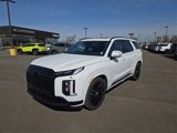 New 2025 Hyundai Palisade Calligraphy image 2