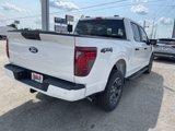 New 2025 Ford F150 STX w/ Equipment Group 200A image 4