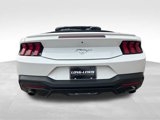 Used 2024 Ford Mustang Premium image 5