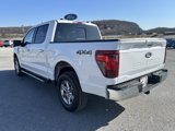 New 2025 Ford F150 XLT w/ Equipment Group 302A MID image 5