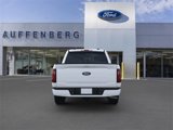 New 2025 Ford F150 XLT w/ Equipment Group 302A MID image 5