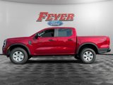 New 2025 Ford Ranger XL image 2