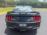 Used 2023 Ford Mustang GT Premium w/ Equipment Group 401A image 5