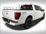 New 2025 Ford F150 Platinum image 3