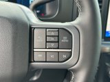 New 2025 Ford F250 Lariat w/ Tremor Off-Road Package image 2