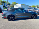 Used 2018 Ford Mustang Premium w/ Equipment Group 201A image 6