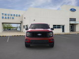 New 2025 Ford F150 STX image 6