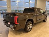 New 2025 Toyota Tundra 1794 Edition image 6