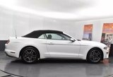 Used 2023 Ford Mustang Premium image 4