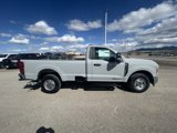 New 2025 Ford F350 XL w/ XL Chrome Package image 4