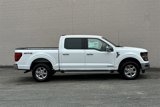 New 2025 Ford F150 XLT image 3