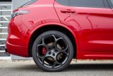New 2025 Alfa Romeo Stelvio Tributo Italiano image 6