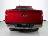 New 2025 Ford F150 XLT image 5