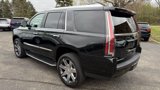 Used 2017 Cadillac Escalade Premium Luxury image 3