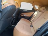 New 2026 Lexus NX 350 AWD w/ Premium Package image 5