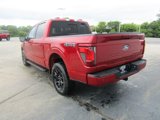 New 2025 Ford F150 XLT image 5