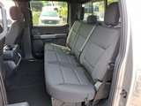 New 2025 Ford F150 XLT w/ Equipment Group 302A MID image 5
