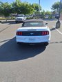 Used 2023 Ford Mustang Premium image 2