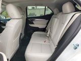 New 2025 Buick Envision Avenir image 4