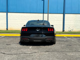 Used 2024 Ford Mustang Coupe image 6