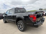 New 2025 Ford F150 STX image 5