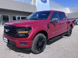 New 2025 Ford F150 XLT image 2