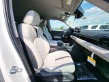 New 2026 Honda Passport RTL image 5