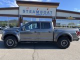 Used 2019 Ford F150 Raptor w/ Equipment Group 802A Luxury image 2
