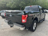 Used 2016 Ford F150 XLT w/ Equipment Group 302A Luxury image 5
