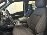 New 2025 Ford F150 XLT image 5